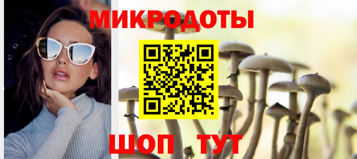 Галлюциногенные грибы прущие грибы Норильск